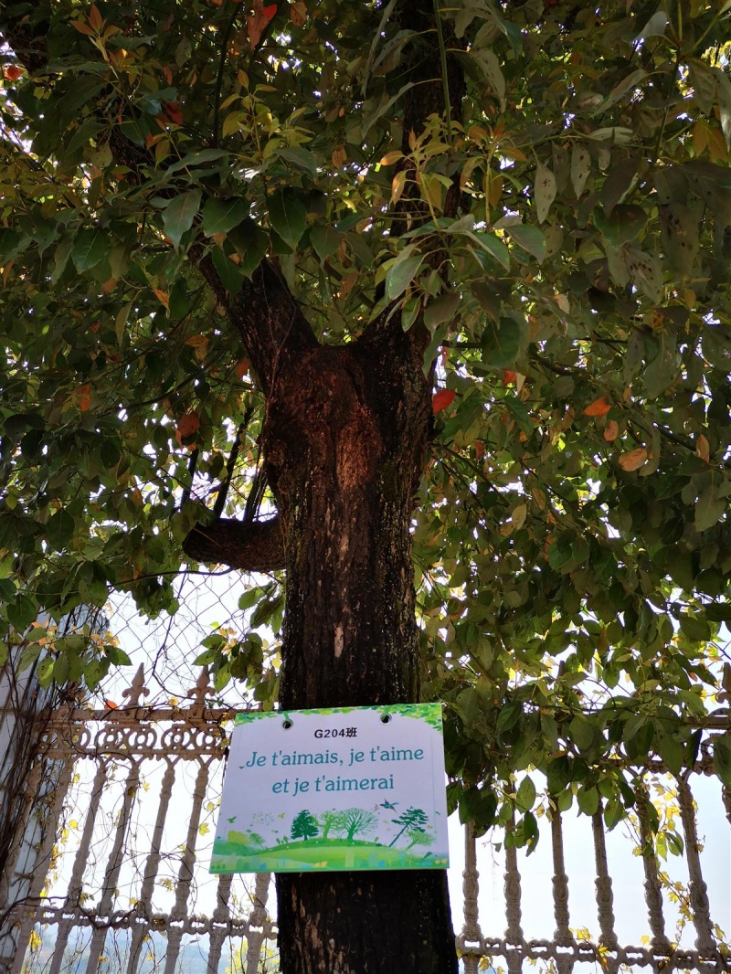 IMG_20190401_130437.jpg IMG_20190401_130437.jpg