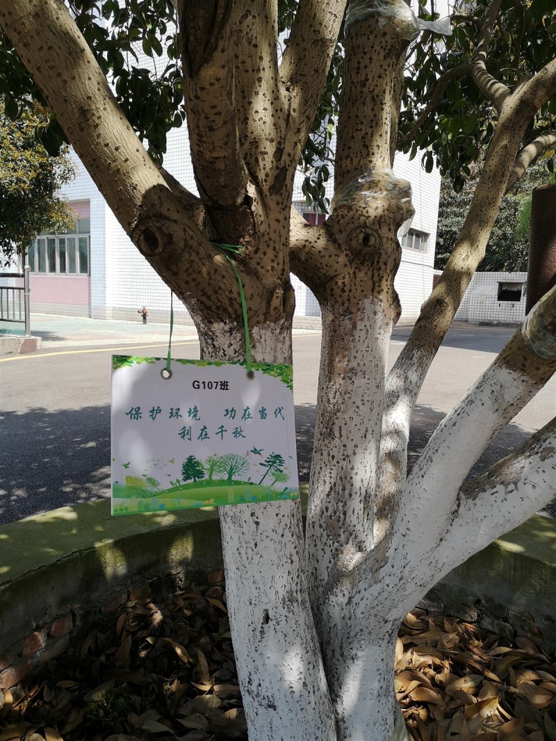 IMG_20190401_130710.jpg IMG_20190401_130710.jpg