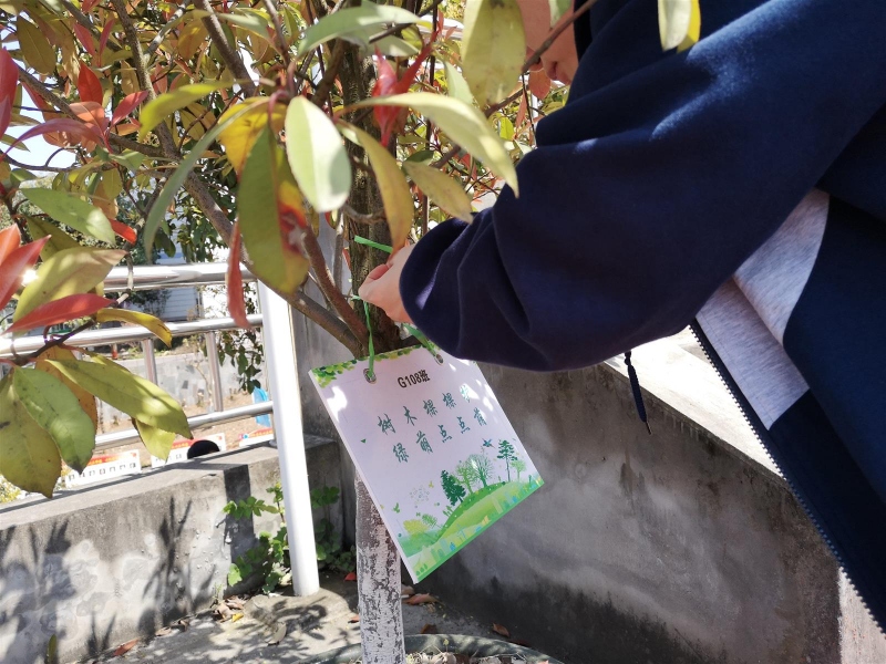 IMG_20190401_130114.jpg IMG_20190401_130114.jpg